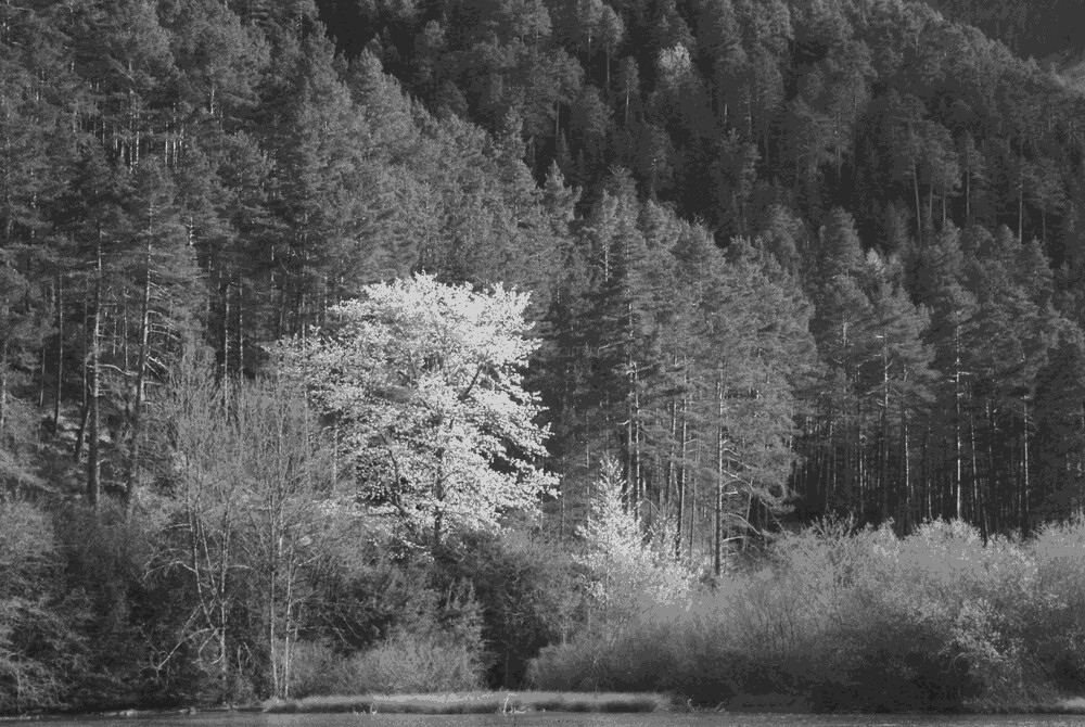 Valle de Pineta y Piau Engaly